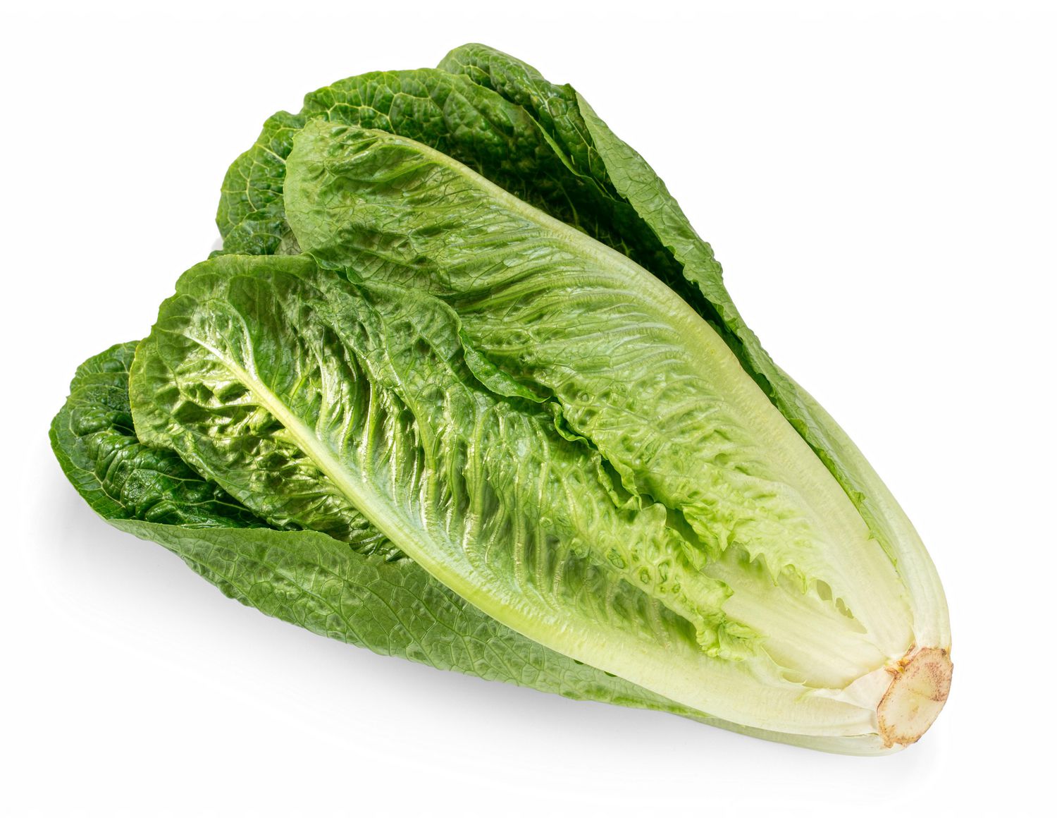 Vegetables