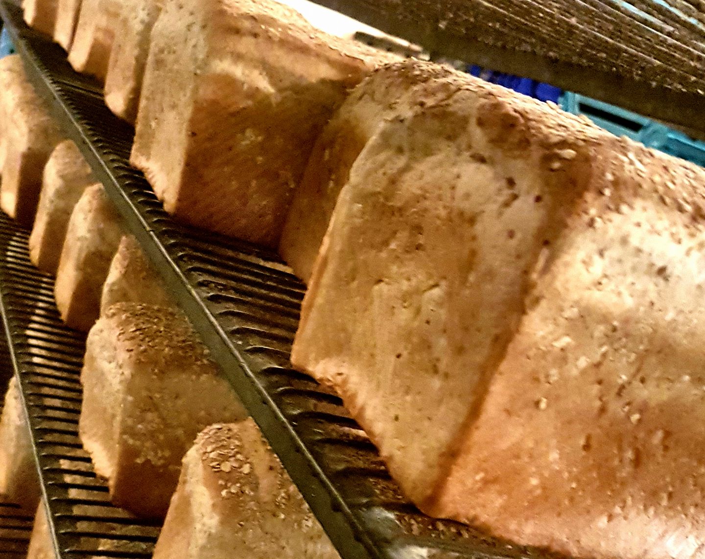 Sliced Bread