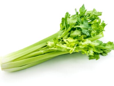 Vegetables