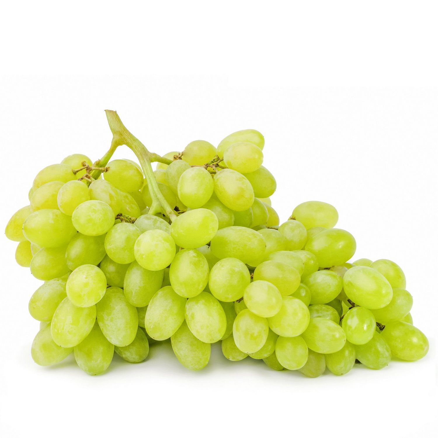 Fruits